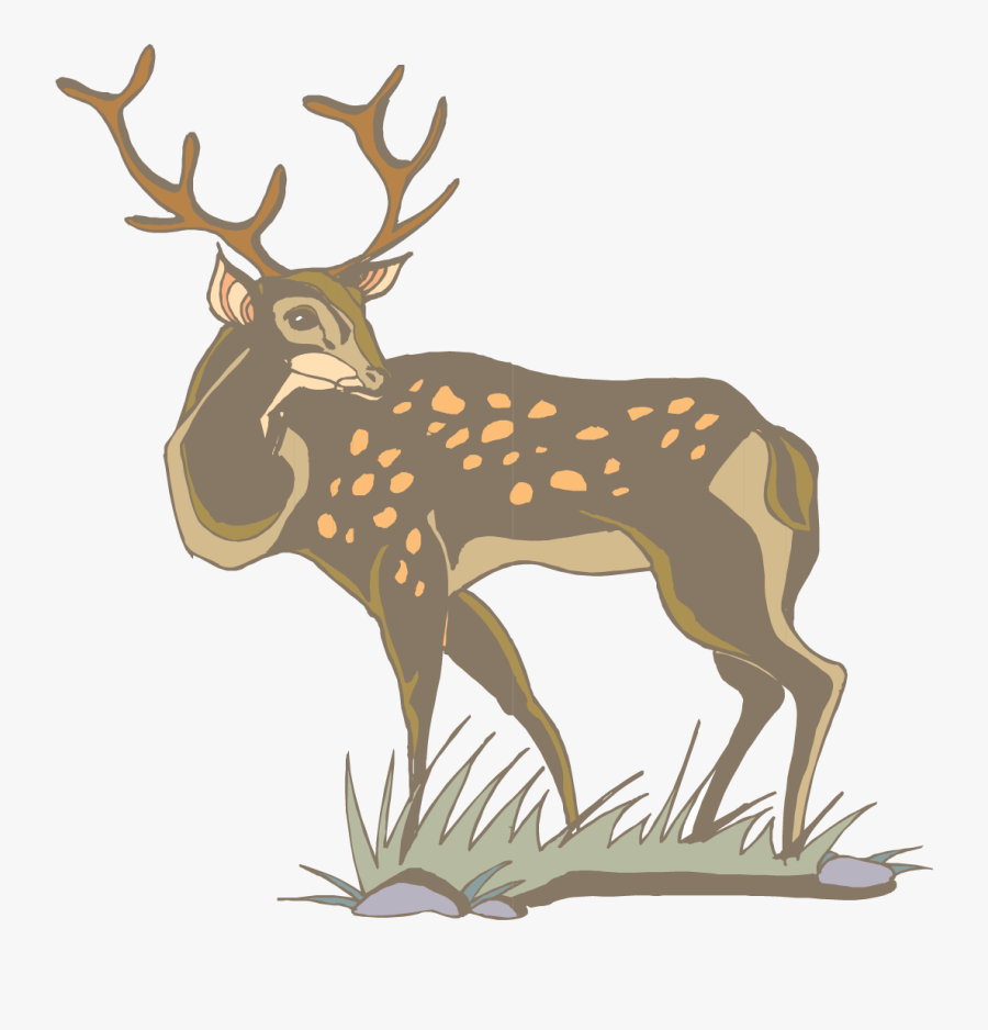 Transparent Whitetail Deer Png - Deer, Transparent Clipart