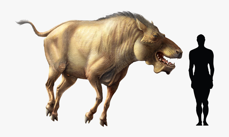 Ice Age Hell Pig, Transparent Clipart