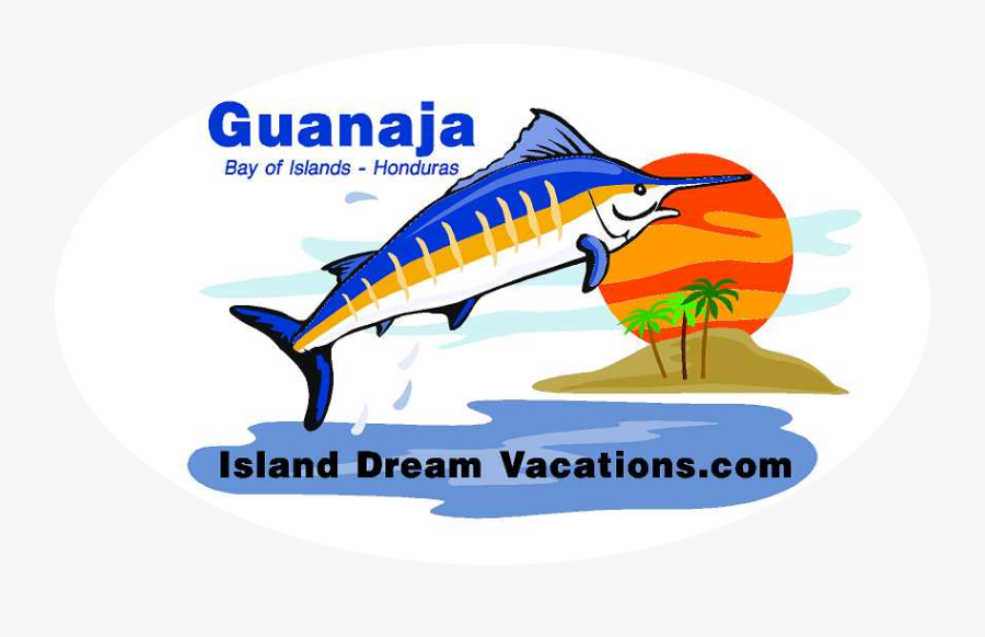 Big Wildlife Coloring Book For Adults - Sailfish, Transparent Clipart