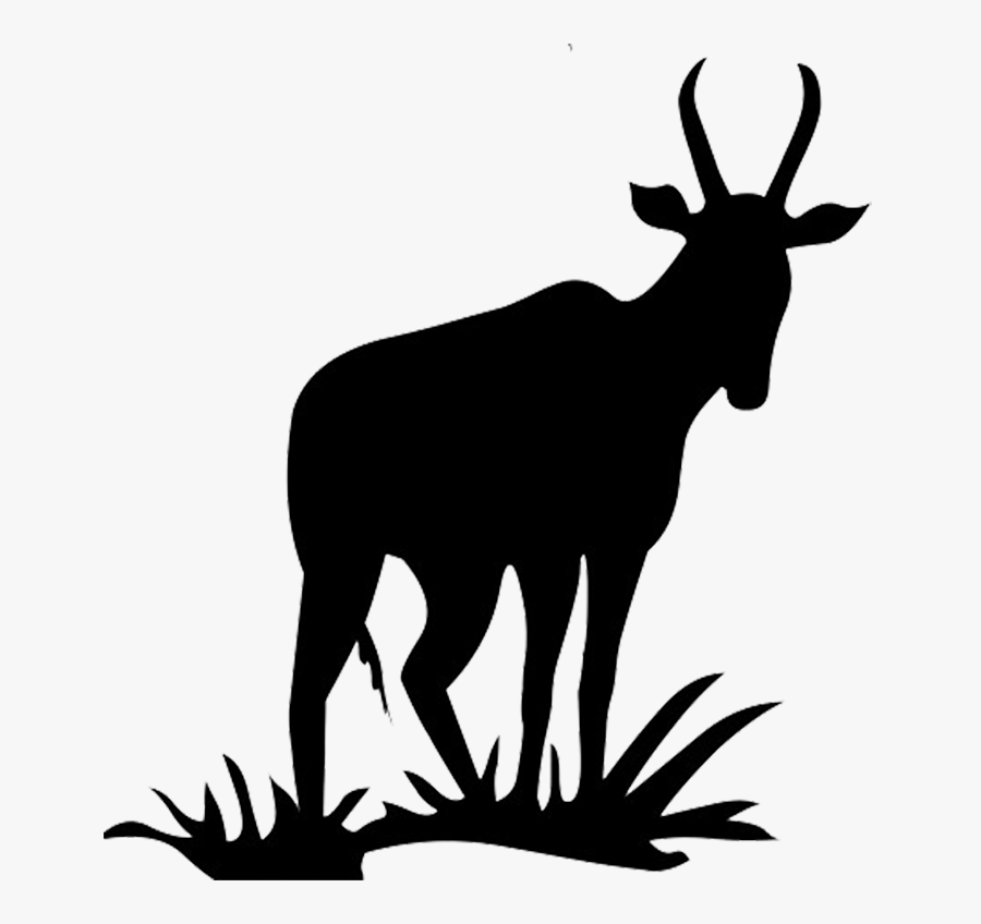 Antelope Silhouette - Black Silhouette Antelope, Transparent Clipart