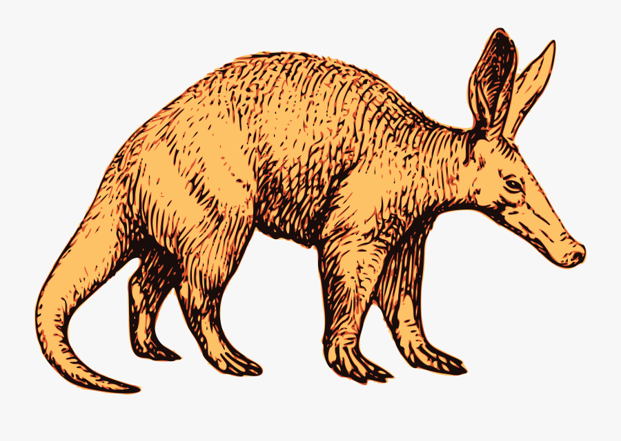 Transparent Wild Animal Png - Clipart Aardvark, Transparent Clipart
