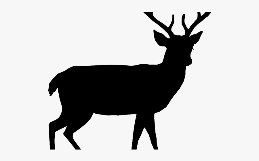White Tailed Deer Silhouette, Transparent Clipart