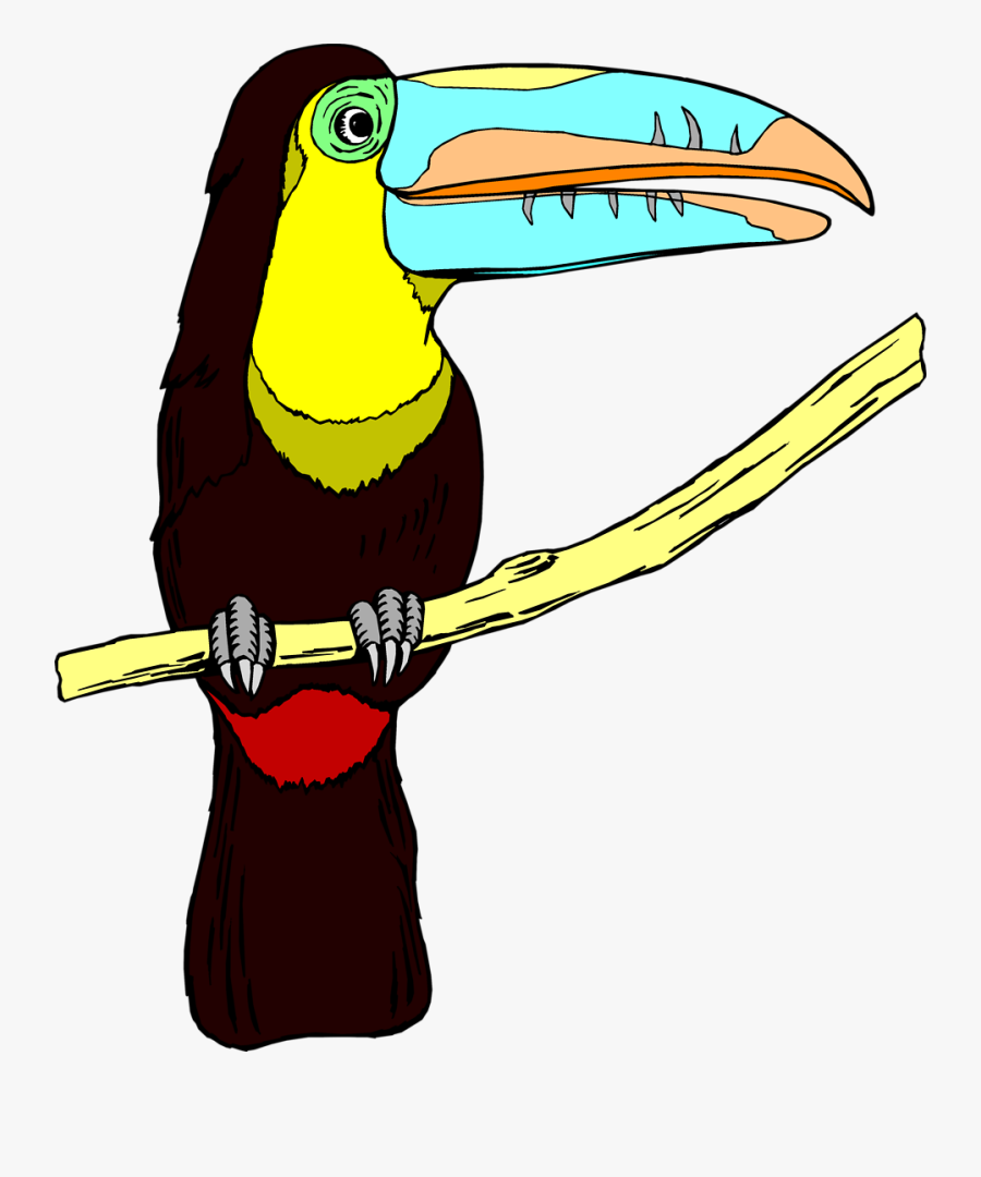 Transparent Zoo Clipart Png - Toucan Png, Transparent Clipart