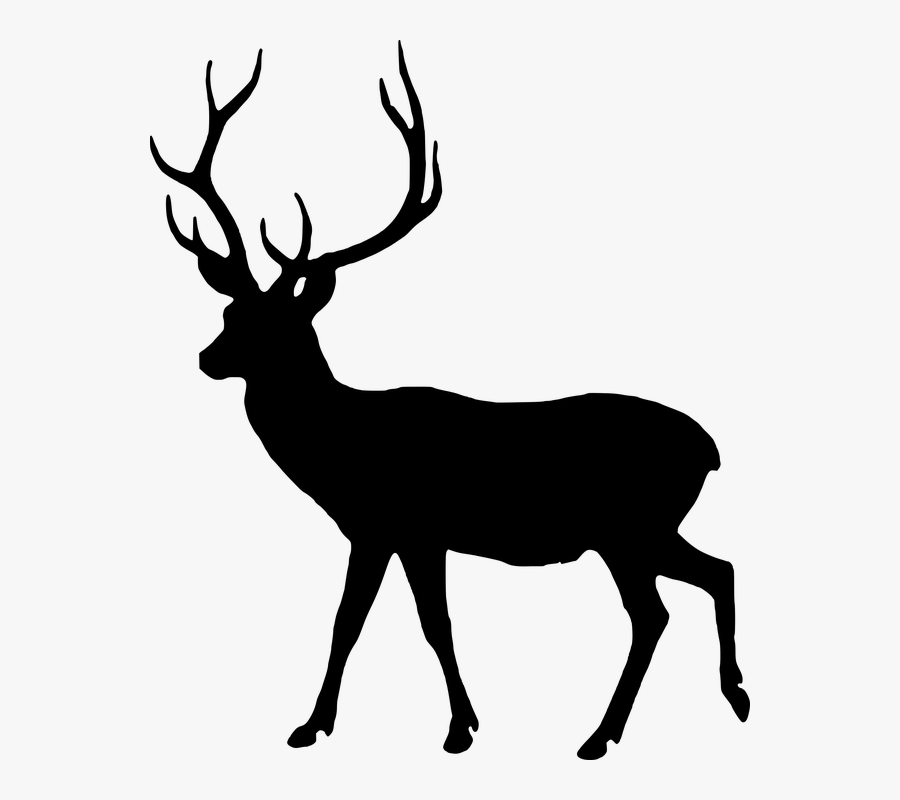 Free Photo Animal Silhouette - Lesson Of The Kaibab Graph, Transparent Clipart