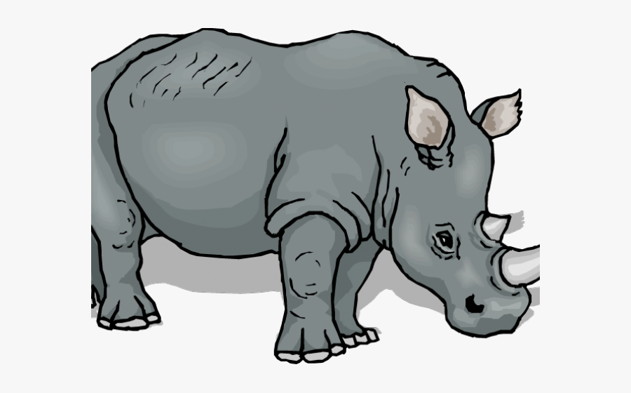 Transparent String Lights Clipart Black And White - Rhino Clipart, Transparent Clipart