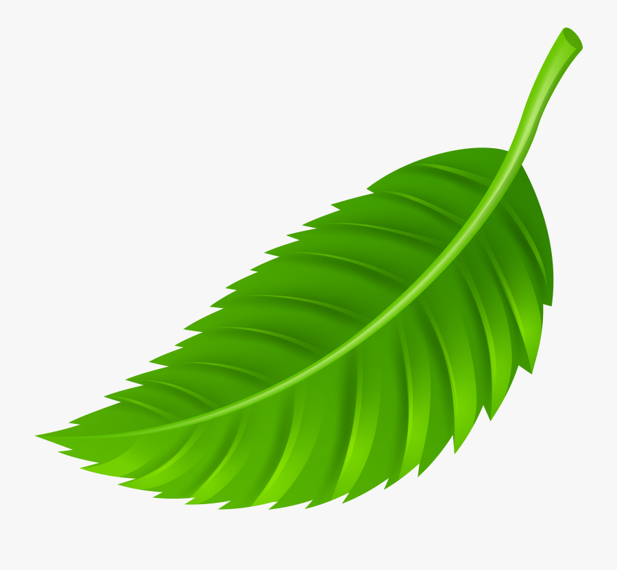 Leaf Png Clip Art, Transparent Clipart