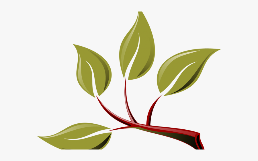 Branch With Leaves Clipart, Transparent Clipart