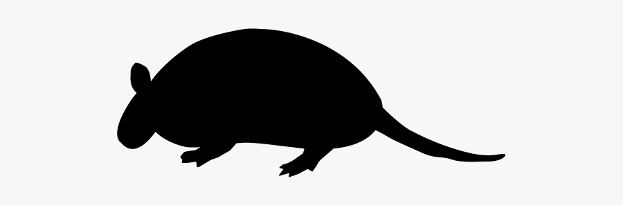 Pest, Transparent Clipart