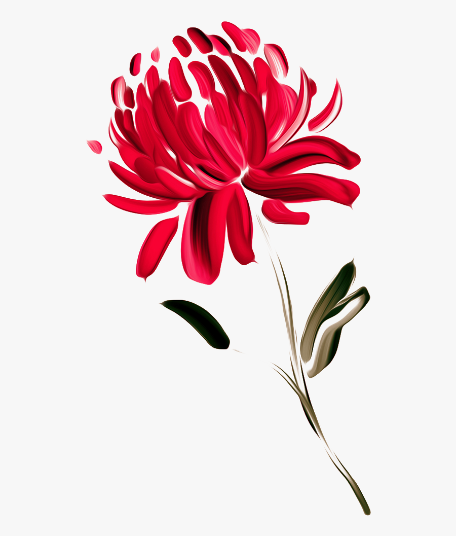 Australia Waratah Painted Chrysanthemums Chrysanthemum - Waratah Png, Transparent Clipart