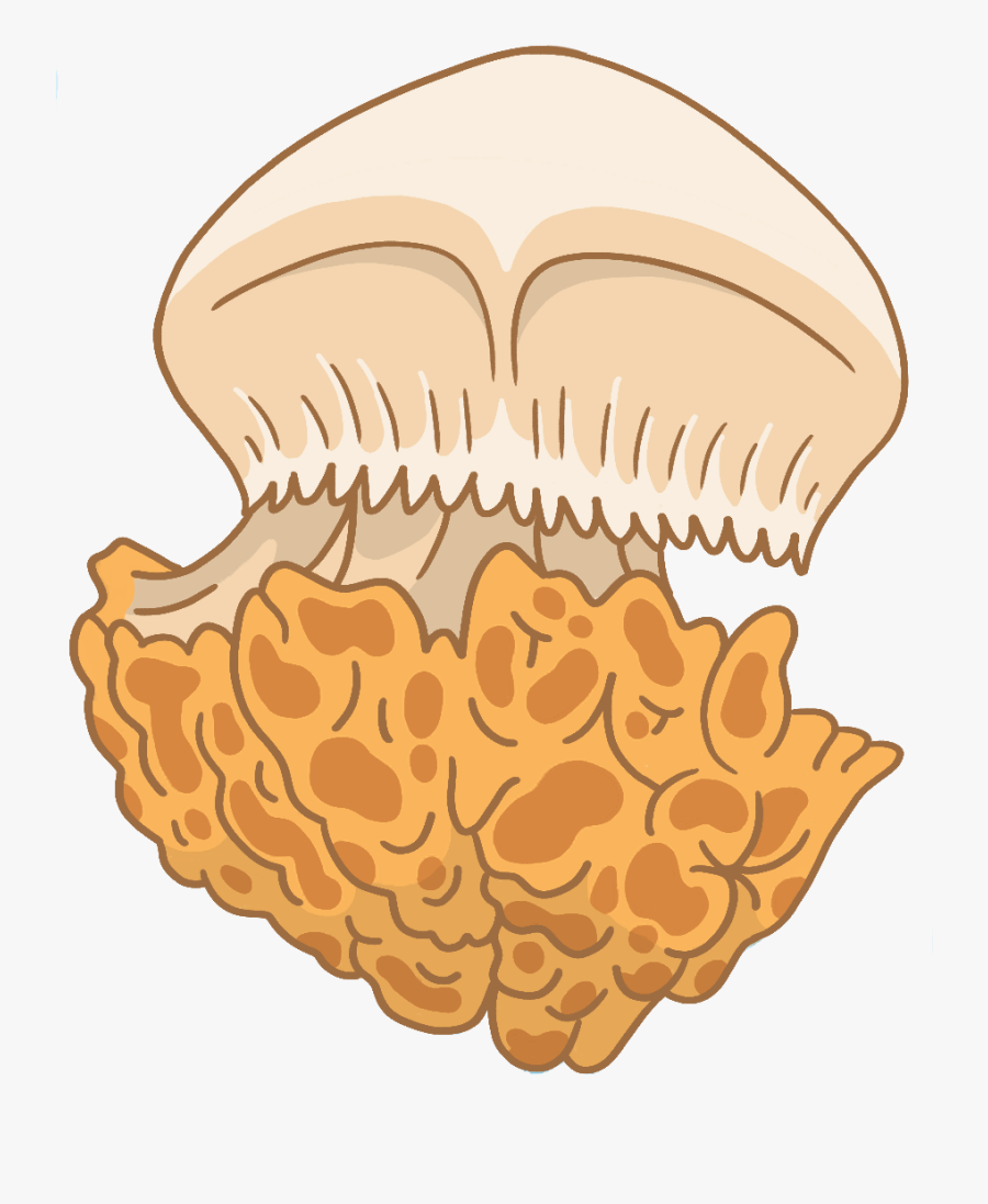 Illustration, Transparent Clipart