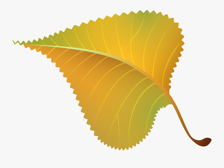 Fall Yellow Leaf Png Clipart Image - Class Of 1999 Reunion, Transparent Clipart