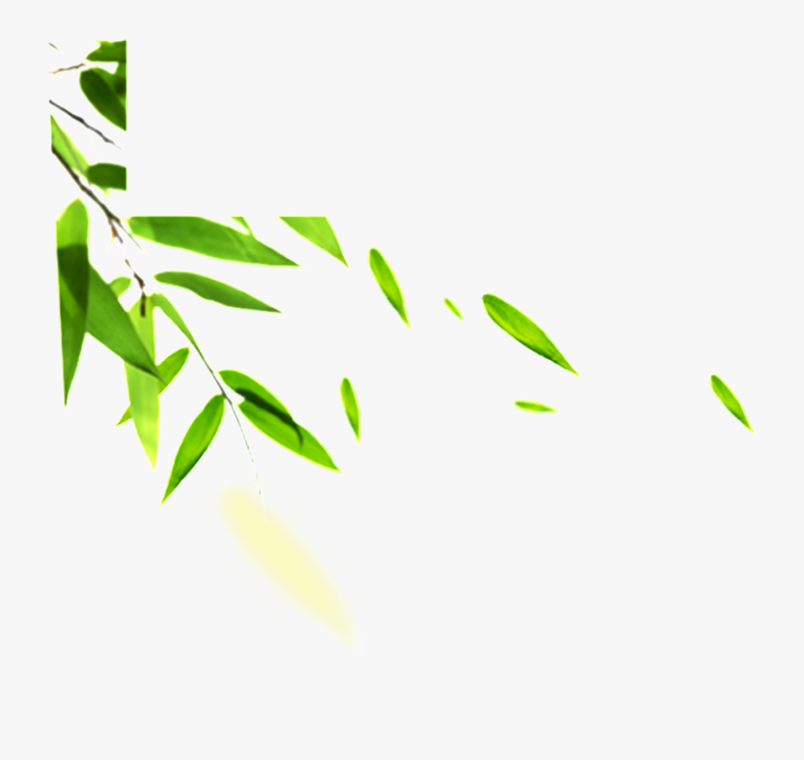 Hand Painted Bamboo Leaves Hd Png - Fall Bamboo Leaf Hd, Transparent Clipart
