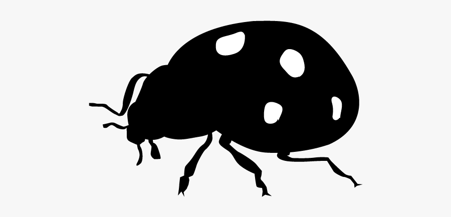 Ladybird Silhouette, Transparent Clipart