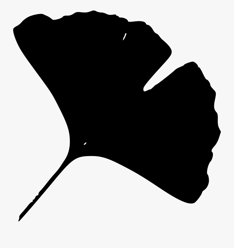 This Free Icons Png Design Of Gingko Leaf C - Ginkgo Biloba Leaf Silhouette, Transparent Clipart