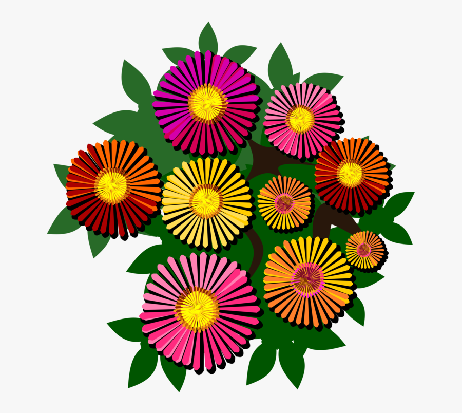 Chrysanths,plant,flower - Common Zinnia, Transparent Clipart