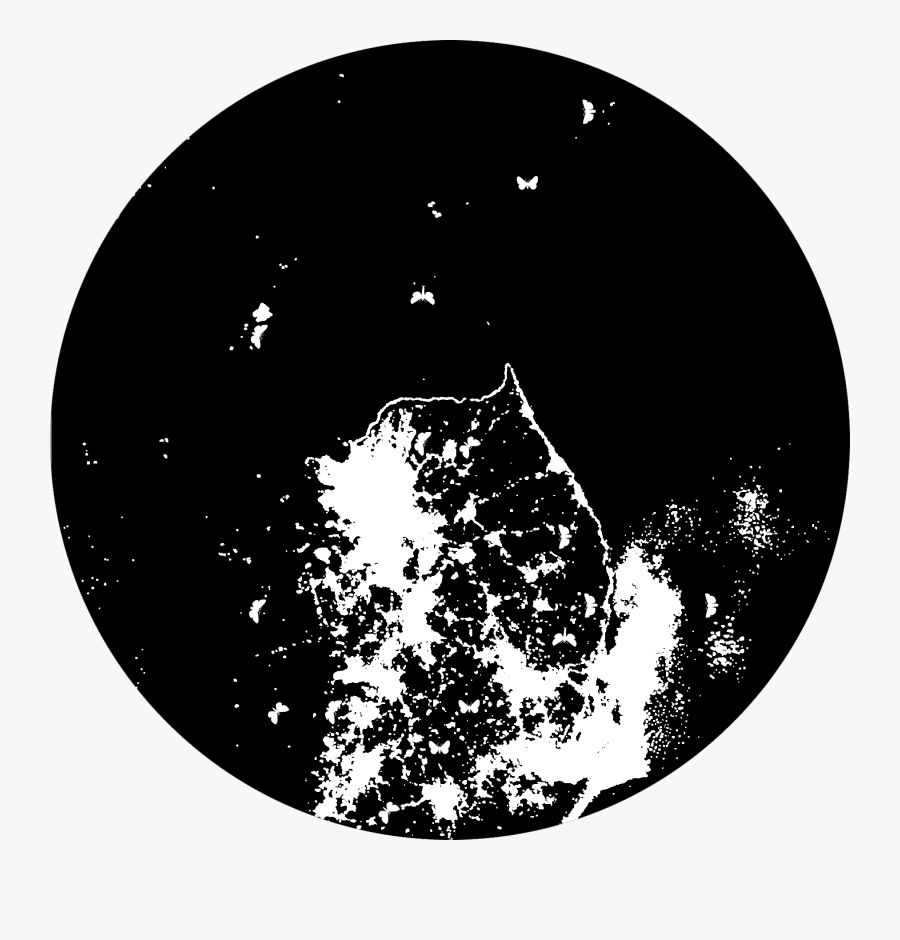 Circle, Transparent Clipart