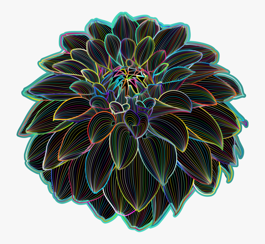 Chrysanths,plant,flower - Circle, Transparent Clipart