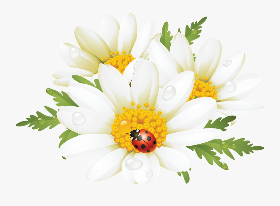 Summer Flowers Clipart, Transparent Clipart