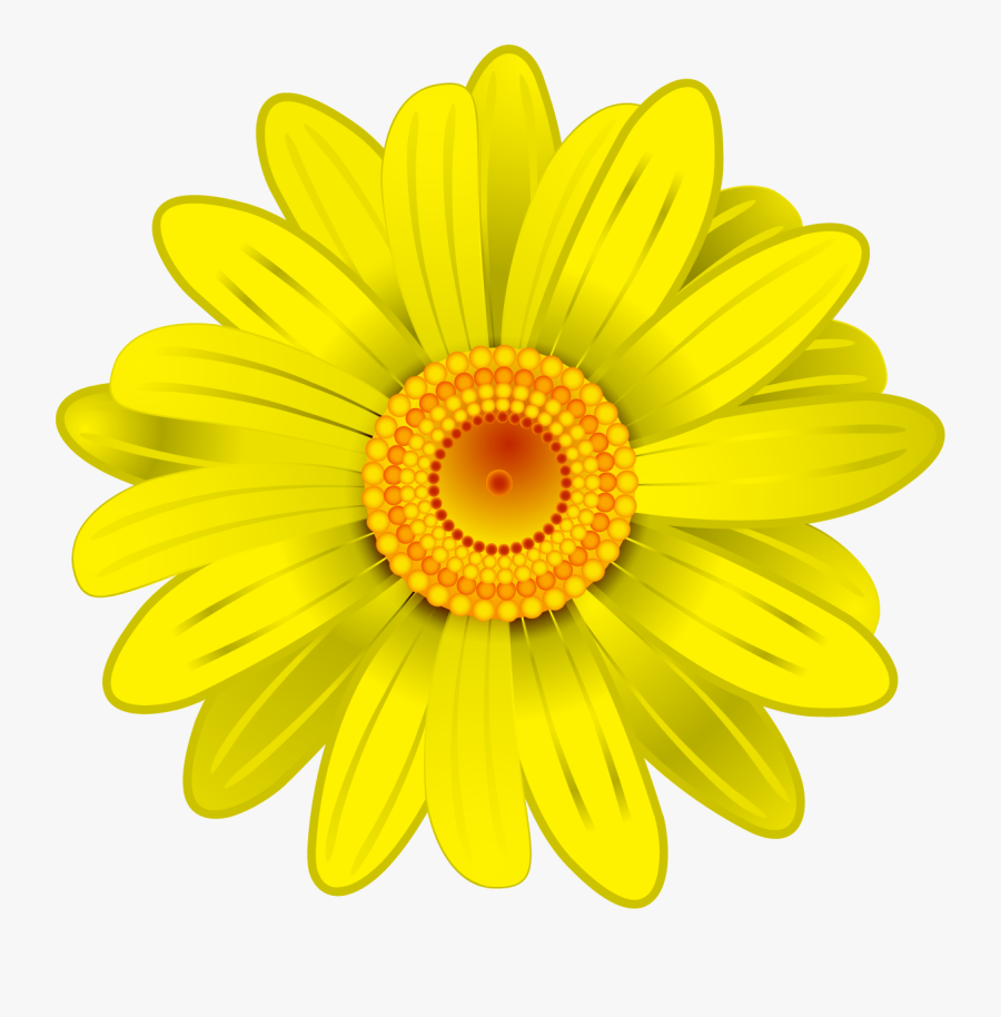 Flower Transvaal Yellow Clip - Transparent Background Yellow Flowers Clipart, Transparent Clipart