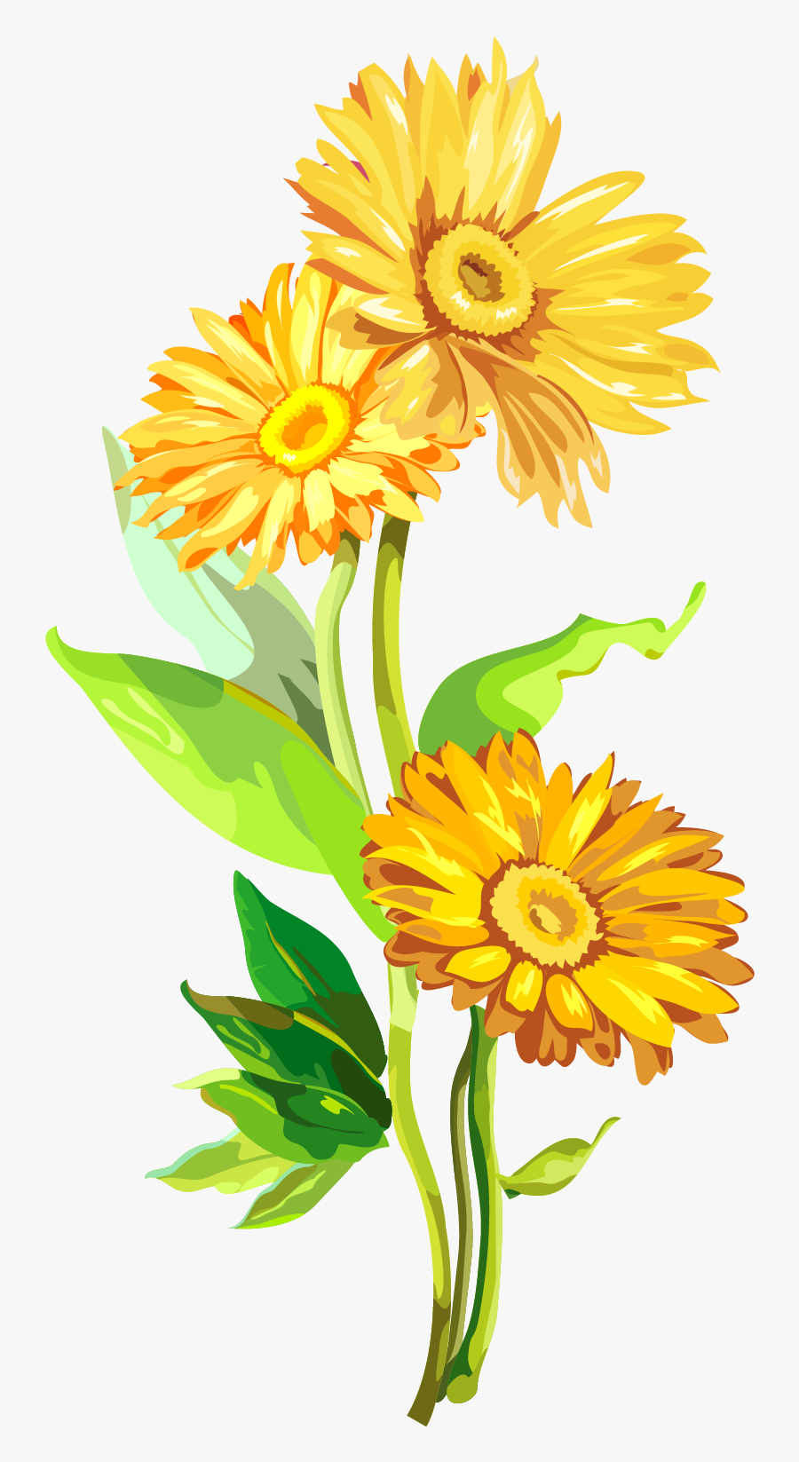 Watercolor Wind Chrysanthemum Flower Golden Yellow - Dibujo De Calendula Facil, Transparent Clipart