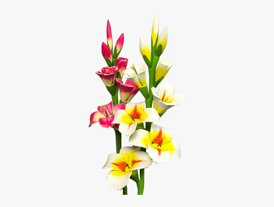 Gladiolus Photo - Gladiolus Transparent Background, Transparent Clipart