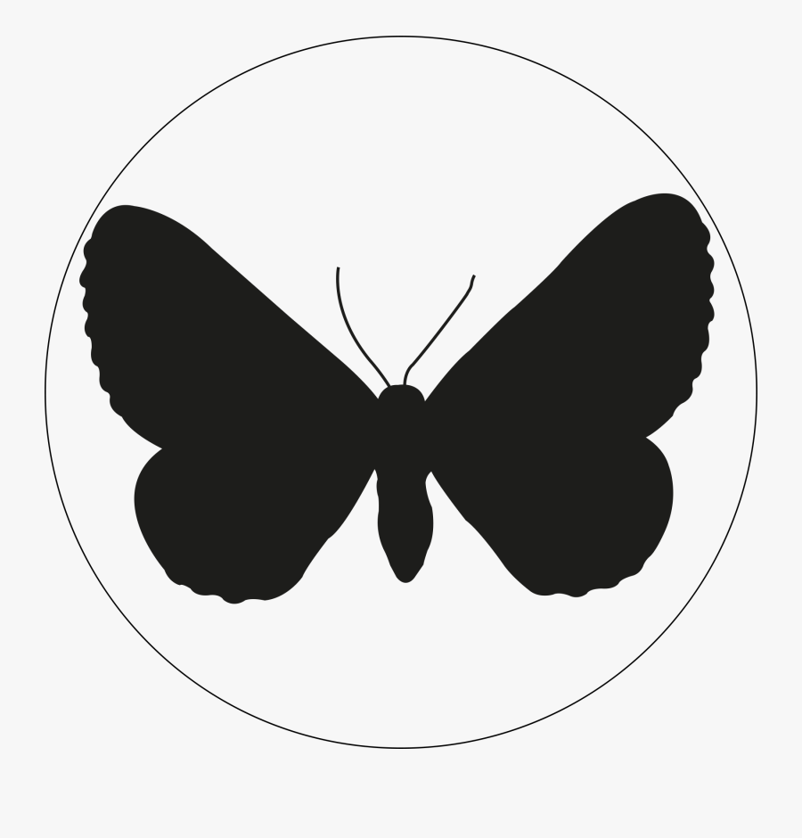 Lost In Light Luise Kalkbrenner - Butterfly, Transparent Clipart