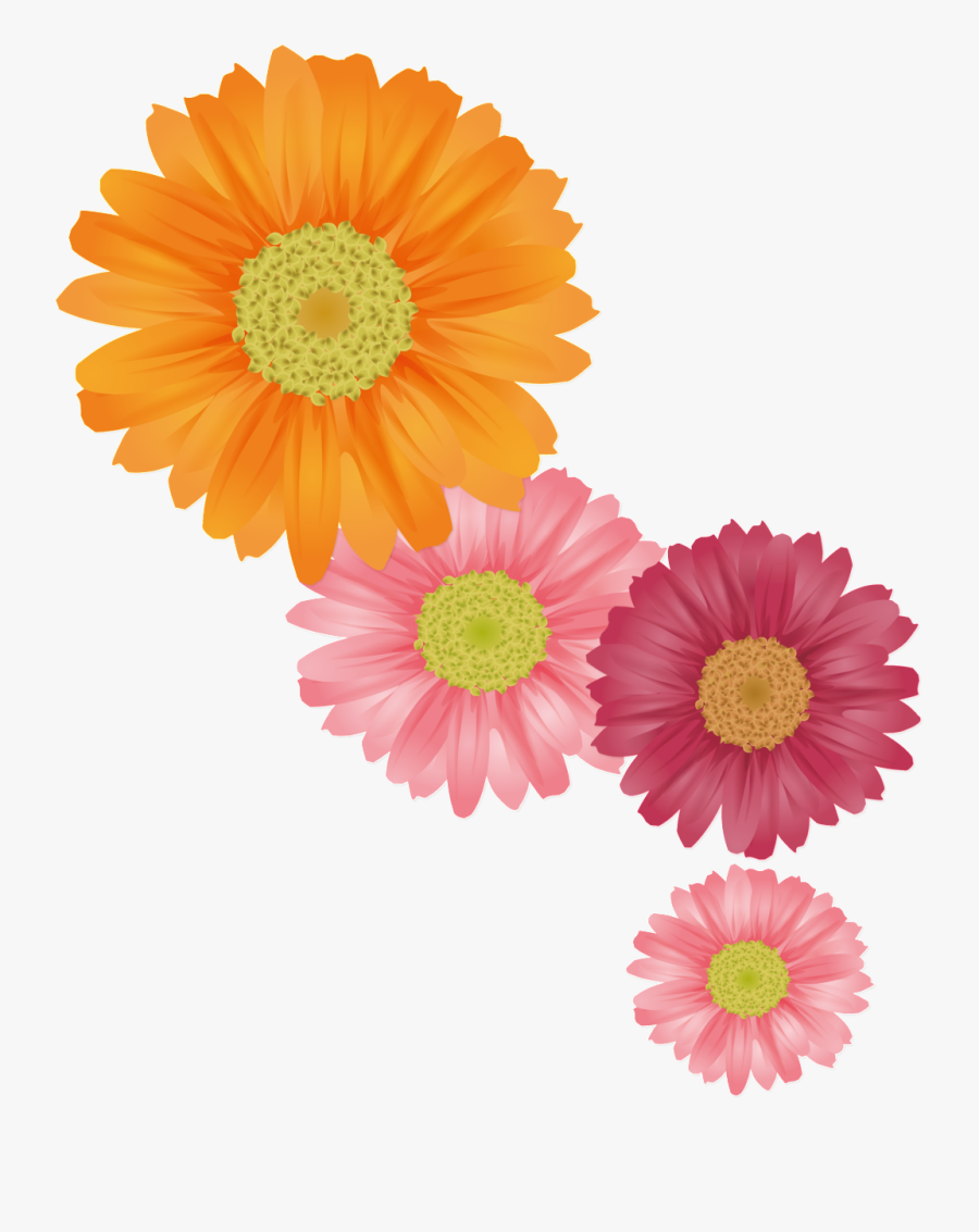 Fresh Orange Hand Painted Chrysanthemum Decorative - Summer Flower Vector, Transparent Clipart
