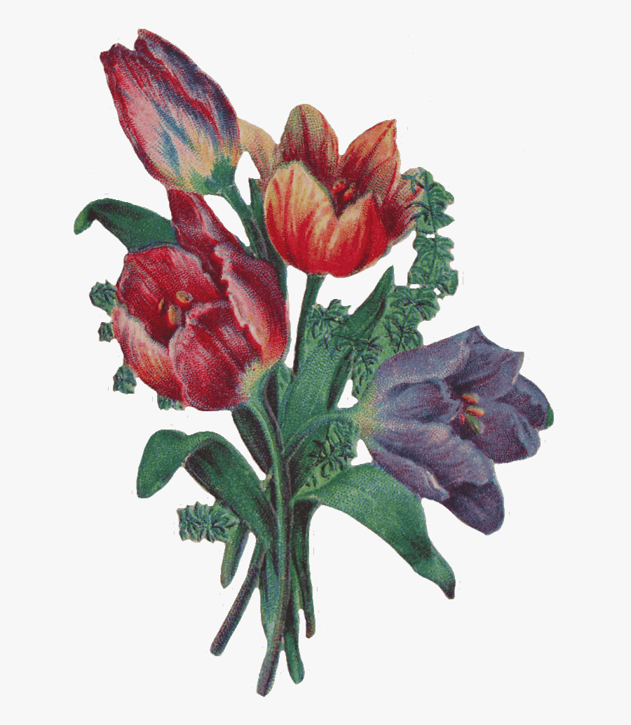 Victorian Flowers Cliparts - Victorian Clipart Floral, Transparent Clipart