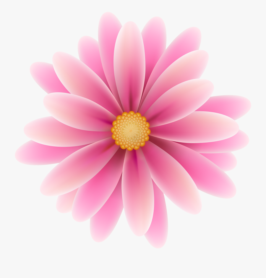 Clip Art Free Photo Pink Flower - Pink Flower Clipart Png, Transparent Clipart