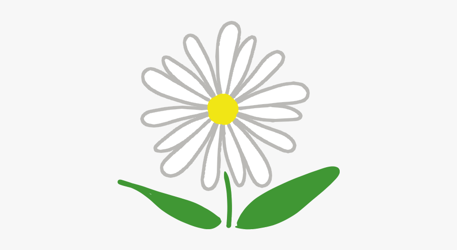 Clip Art Chrysanthemum Japonense - Oxeye Daisy, Transparent Clipart
