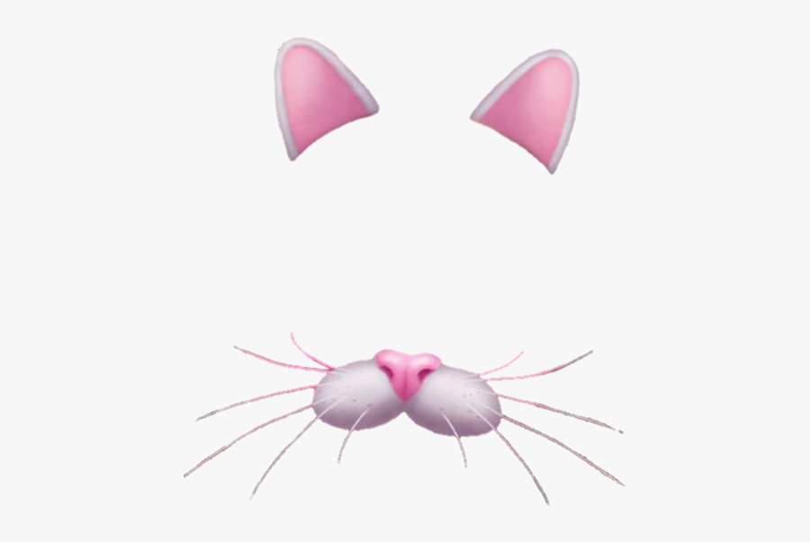 Efectos De Snapchat Png - Snapchat Cat Filter Png, Transparent Clipart