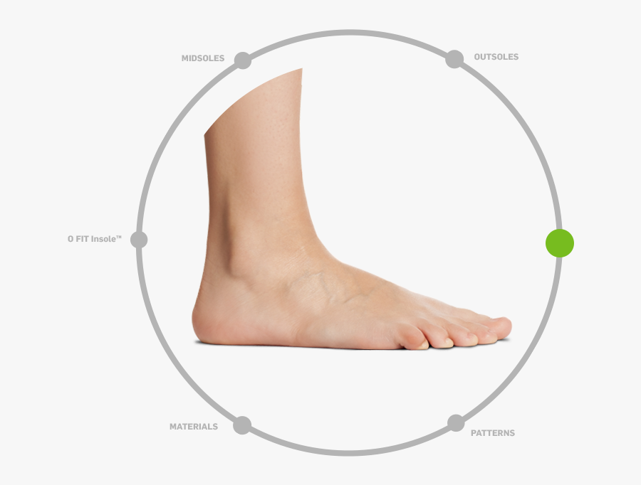 Toe Drawing Bottom Foot, Transparent Clipart