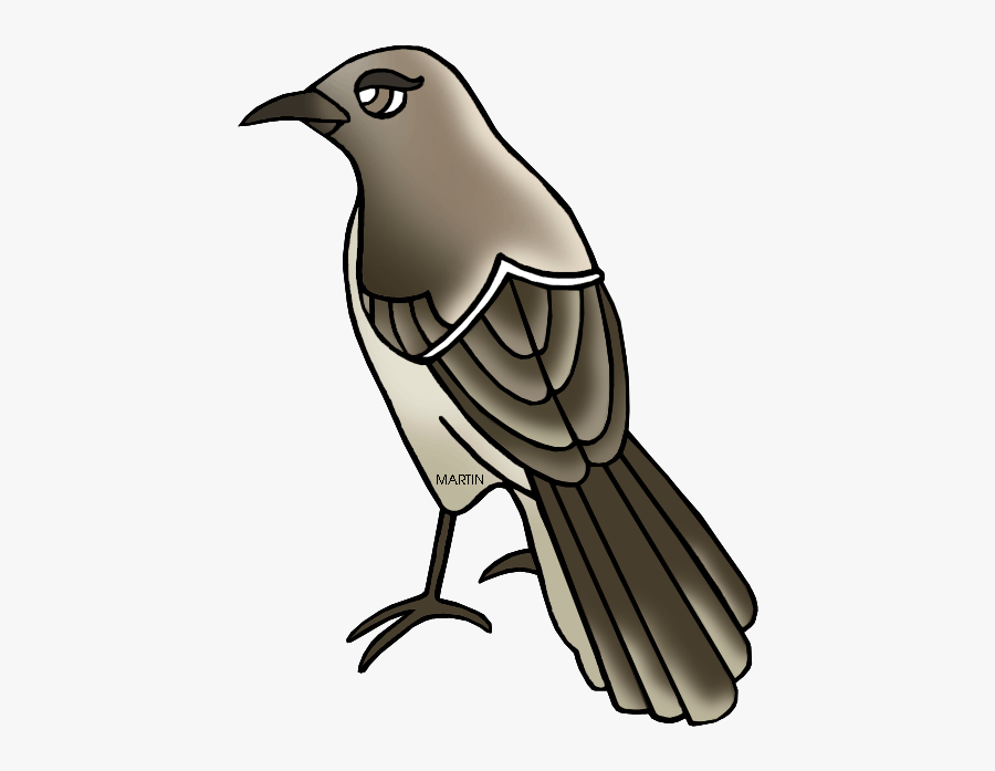 Free Vector Mockingbird Clip Art Clipart - Mockingbird Clipart, Transparent Clipart