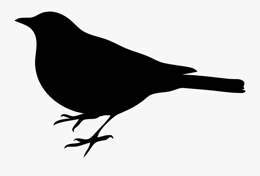 Crow - Mockingbird Black And White, Transparent Clipart