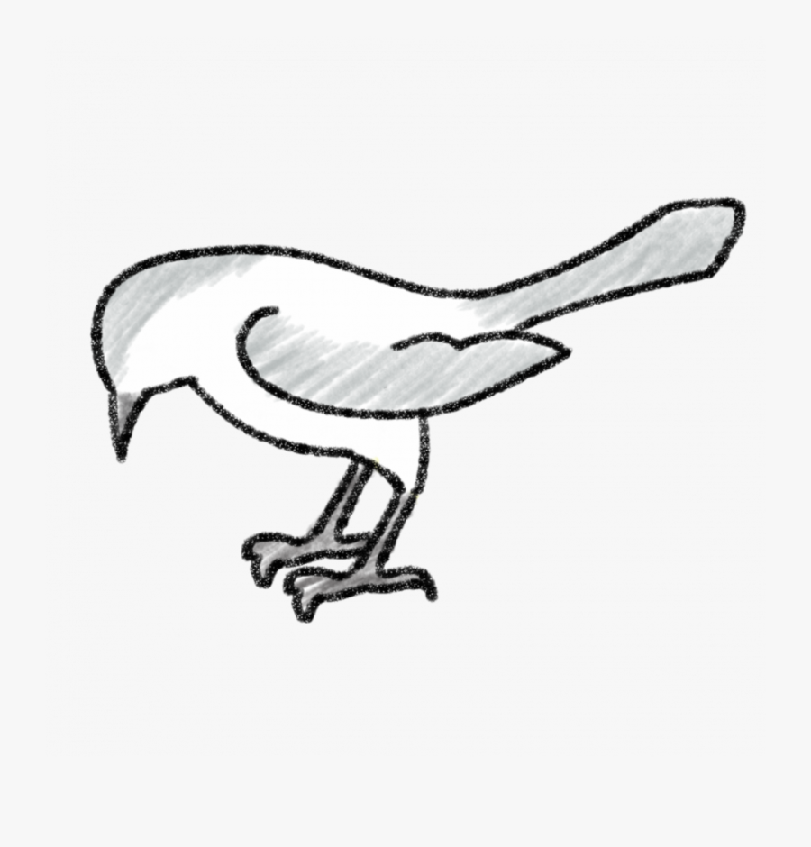 Transparent Mockingjay Clipart - Mockingbird Drawing, Transparent Clipart