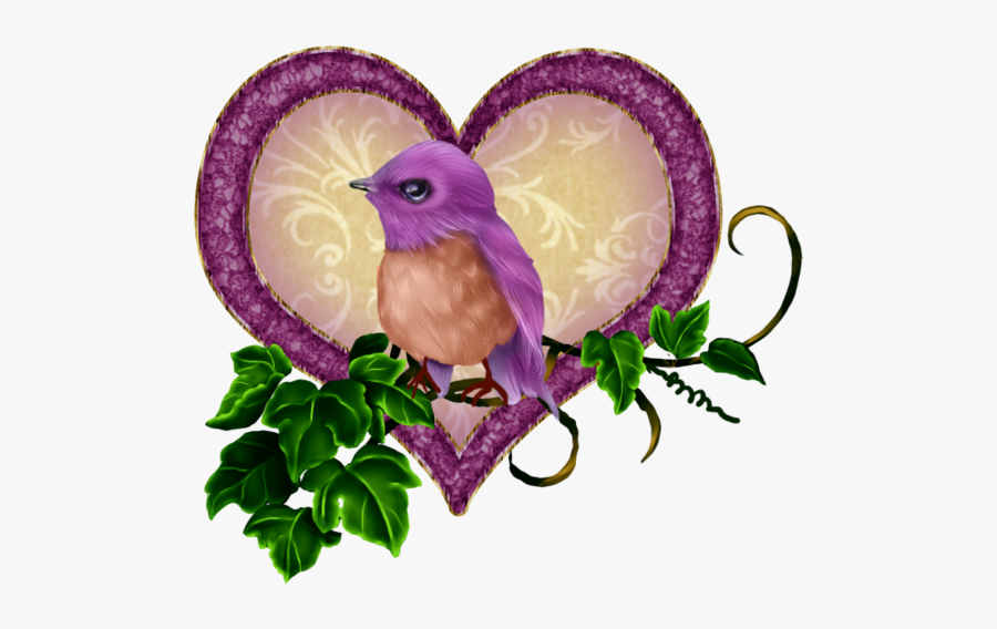 Oiseaux Birds Pinterest Birdhouse - Illustration, Transparent Clipart