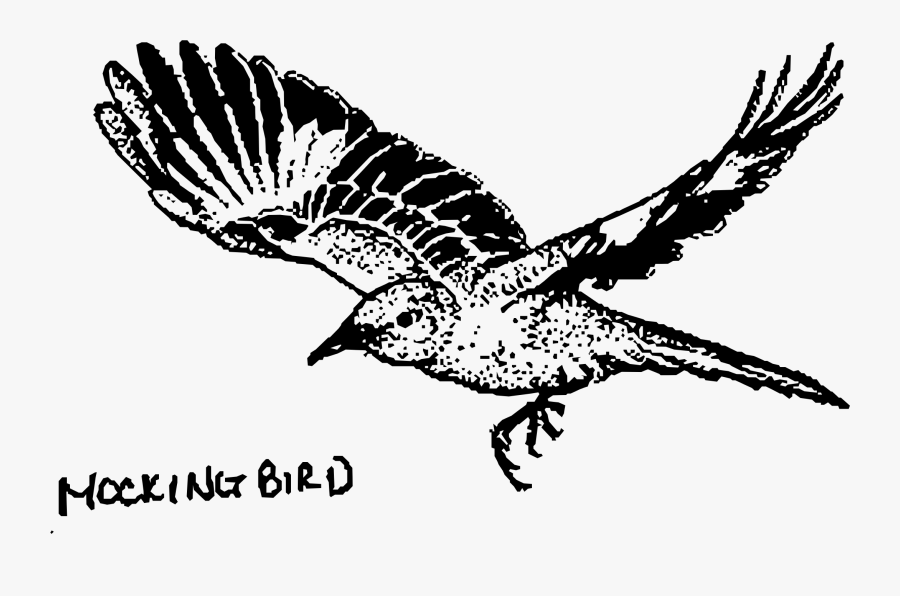 Mockingbird Clipart, Transparent Clipart
