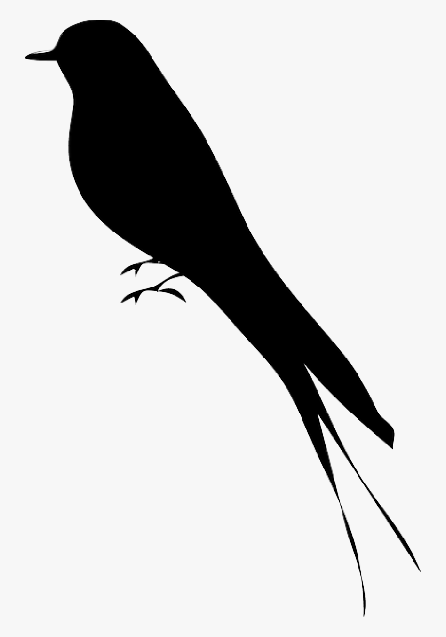 Bird, Silhouette, Mockingbird - Mockingbird Silhouette Clip Art, Transparent Clipart