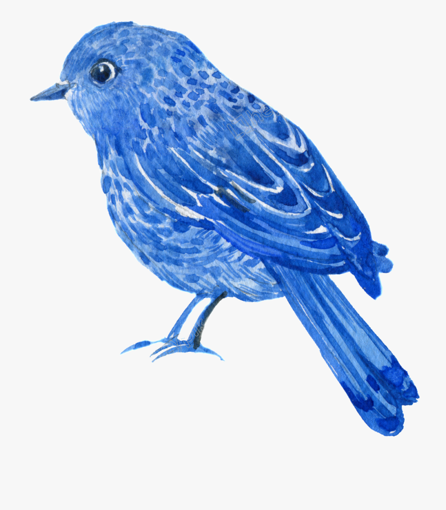 Drawing, Transparent Clipart