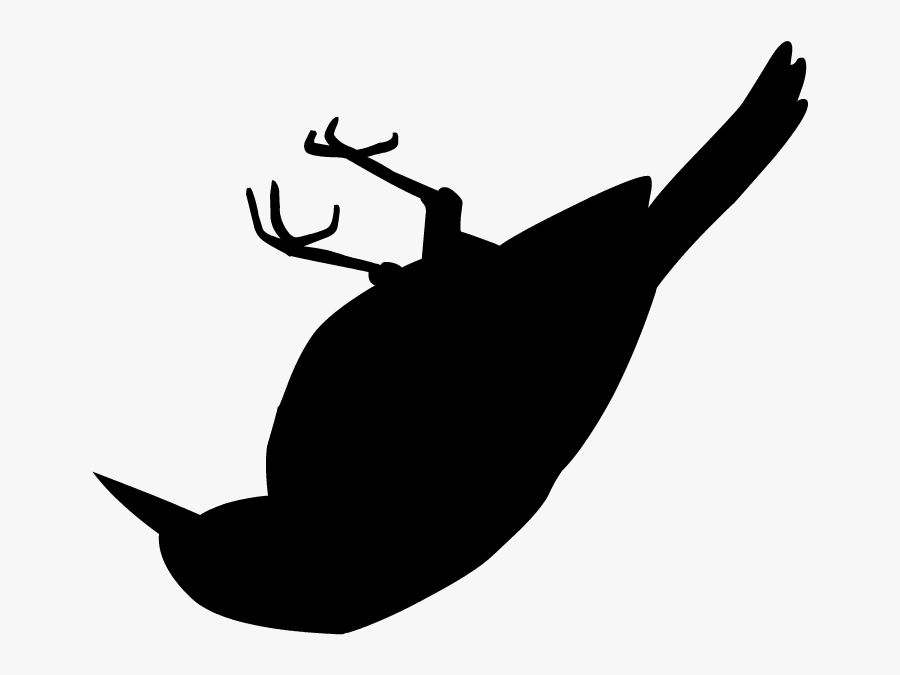 Mockingbird Transparent, Transparent Clipart