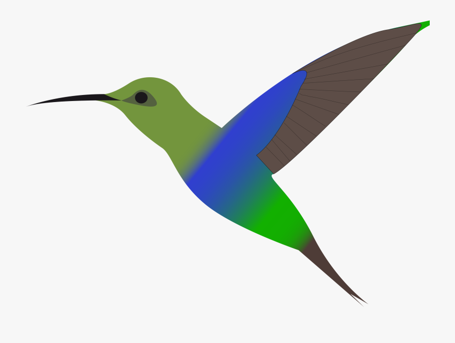 Clipart Humming Bird Hummingbird Clipart - Hummingbird Clipart Free, Transparent Clipart