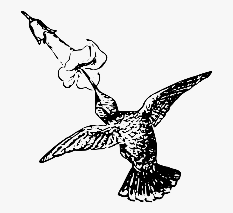 Mockingbird Clipart Hummingbird - Black And White Pics Of Hummingbird With Flower, Transparent Clipart