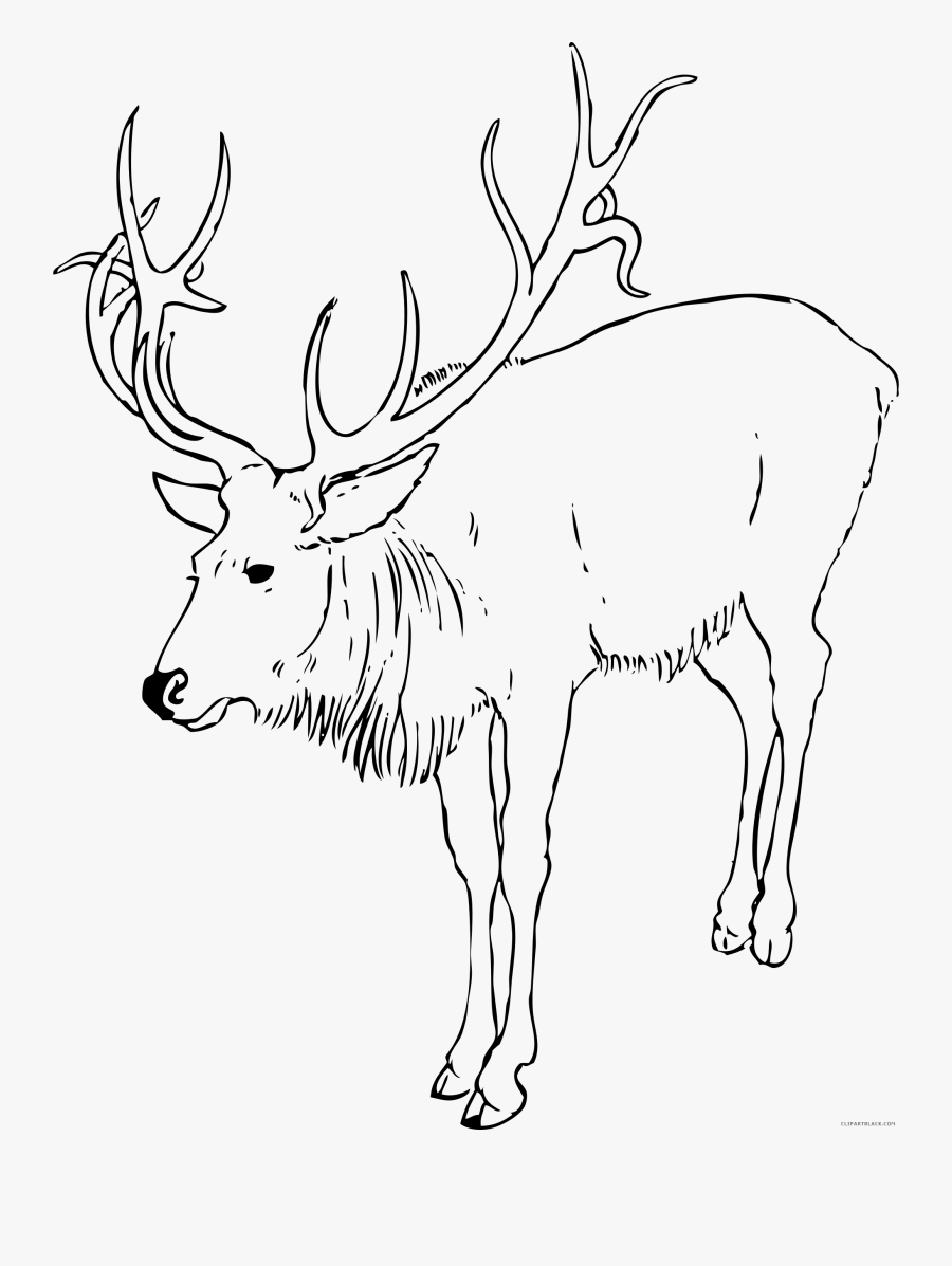 Clip Art Black And White Reindeer Clipart - Caribou Animal Black And White, Transparent Clipart