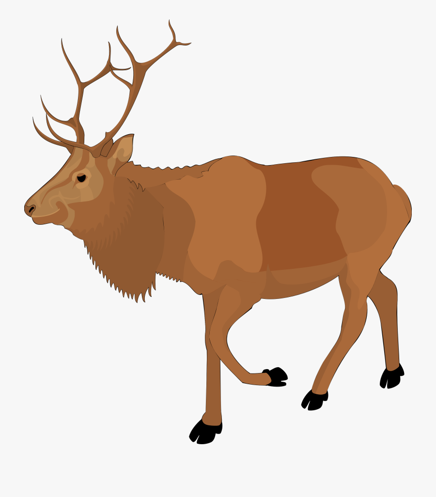 Clip Art Reindeer Clipart - Real Reindeer Clipart, Transparent Clipart