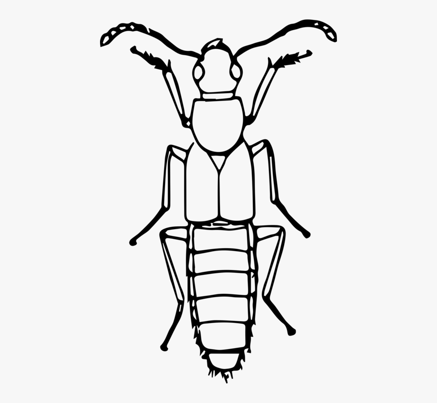 Transparent Bug Clipart Black And White - Insect Clipart Black And White, Transparent Clipart