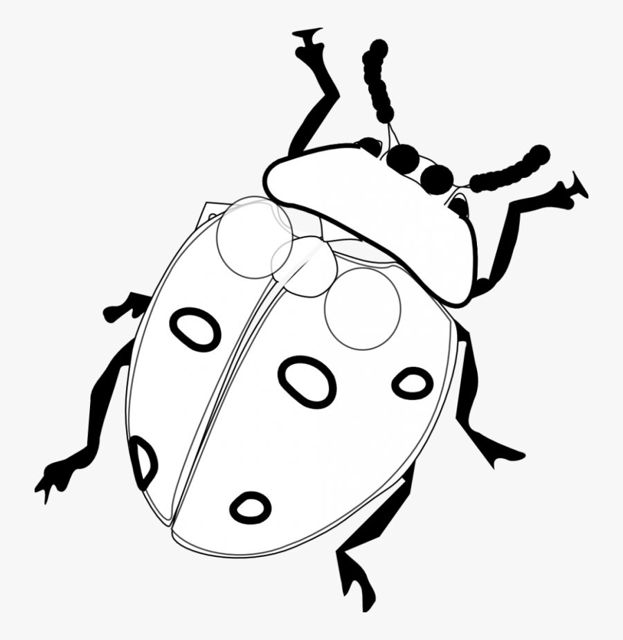 Drawing Ladybug Cartoon Transparent Png Clipart Free - Black And White Ladybug Line Drawing, Transparent Clipart