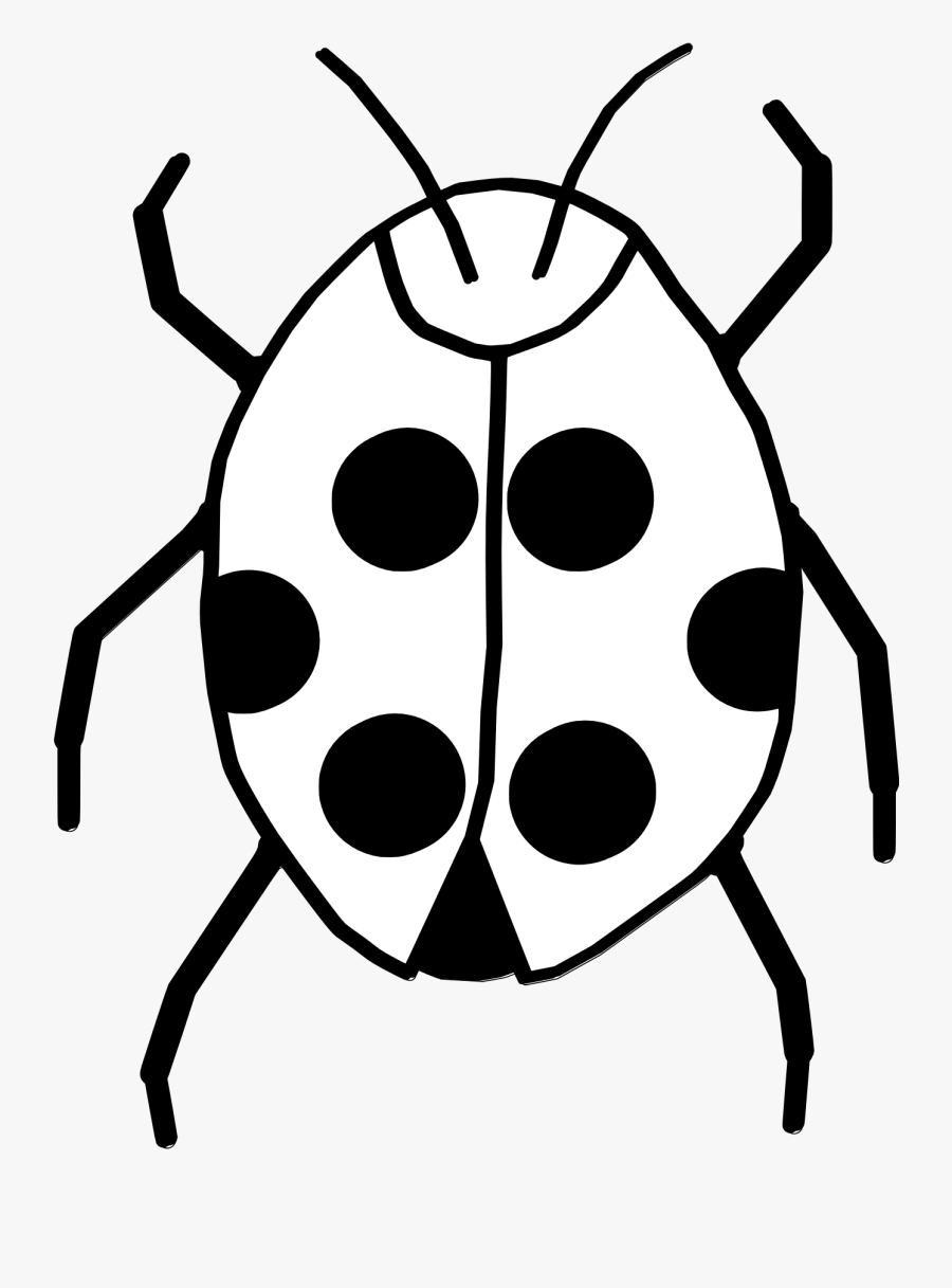 Ladybugs Clipart - Bug Clip Art Black And White, Transparent Clipart