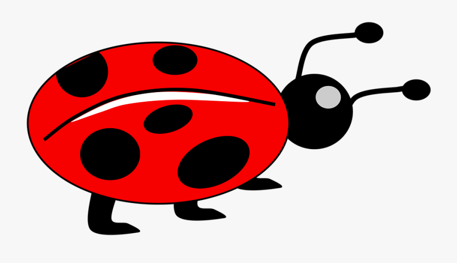 Lady Bug Kids Animal - Bug Images For Kids, Transparent Clipart