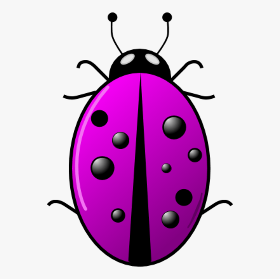 Purple Ladybug Clipart 115,12kb Download, Transparent Clipart