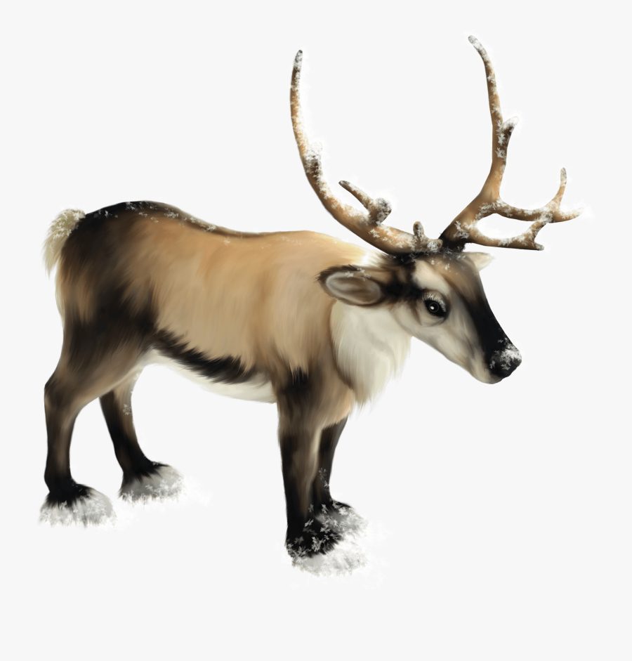 Transparent Antlers Clipart - Arctic Reindeer Clipart, Transparent Clipart